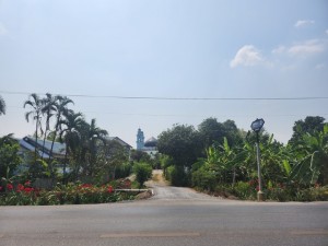 ที่ดิน ขาย ขายที่ดินทำเลธุรกิจหลังตลาดหนองจอก ขายที่ดินหนองจอกเหมาะทำบ้านพักตากอากาศ ขายที่ดินหนองจอกเหมาะทำร้านอาหาร ที่ดินหนองจอกเหมาะทำPoolVilla ขายที่ดินหนองจอกเหมาะทำโรงแรมรีสอร์ท