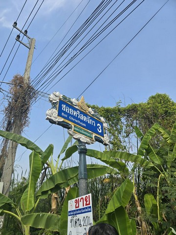 ขาย บ้านเดี่ยว Luxury-detached-house-for-sale, in-Sukhumvit71,SoiPridiBanomyong26 Luxury-detached-house-for-sale, rightintheheartofSukhumvit บ้านเดี่ยวหรู2ชั้นพร้อมสระว่ายน้ำสุขุมวิท