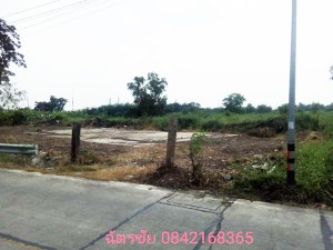 ที่ดิน ขาย ขายถูก เหมาะทำหมู่บ้านจัดสรร เหมาะจัดสรรแบ่งขาย, ที่ดินธัญบุรีคลอง6,หรือปทุมธานี โครงการเชิงพาณิชย์