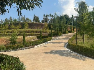 ที่ดิน ขาย 泰国榴莲果园投资 Durian-Farm-Investment-Chanthaburi- CheaperthanOthersbyMillions- 泰国尖竹汶府榴莲果园投资立即 ลงทุนทุนสวนเรียน-จันทบุรี-รับรายได้ทันทีจากผลผลิต