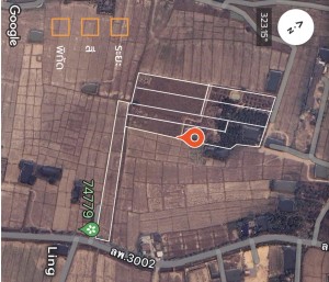 ที่ดิน ขาย ใกล้แหล่งชุมชน-ตลาด-ห้าง-โรงพยาบาล ตำบลป่าสัก ติดถนนบ้านบูชา-ป่าสัก เจ้าของขายเอง ขายที่ดินอำเภอเมืองลำพูนราคาถูก