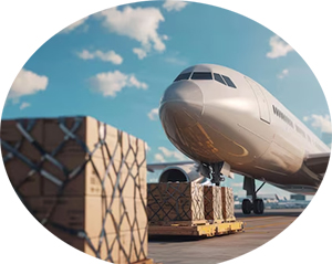 บริการ ประกาศ ผ่านศุลกากรเร็วขึ้น ชิปปิ้งมืออาชีพ สินค้าทางอากาศ DHL,FedEx,UPS เคลียร์สินค้านำเข้า